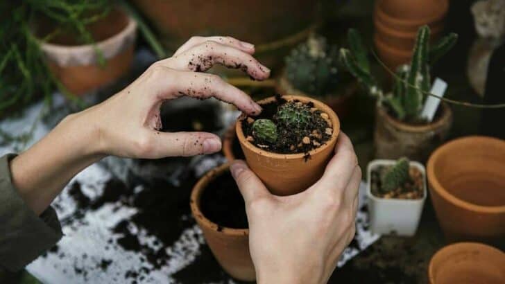 Avantages de la construction d'un abri de rempotage dans votre jardin 24 - Remises et rangement extérieur - 1001 jardins Avantages de la construction d'un abri de rempotage dans votre jardin 23 - Remises et rangement extérieur